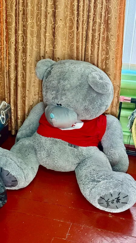 Teddy 2 Teddy 2