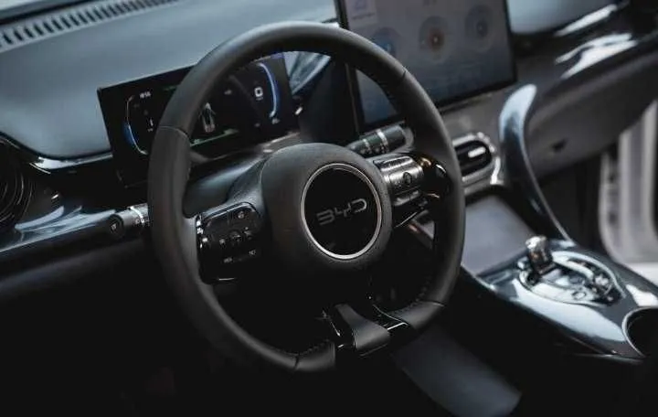 Byd E2 naxt va halol nasyaga — фото 5