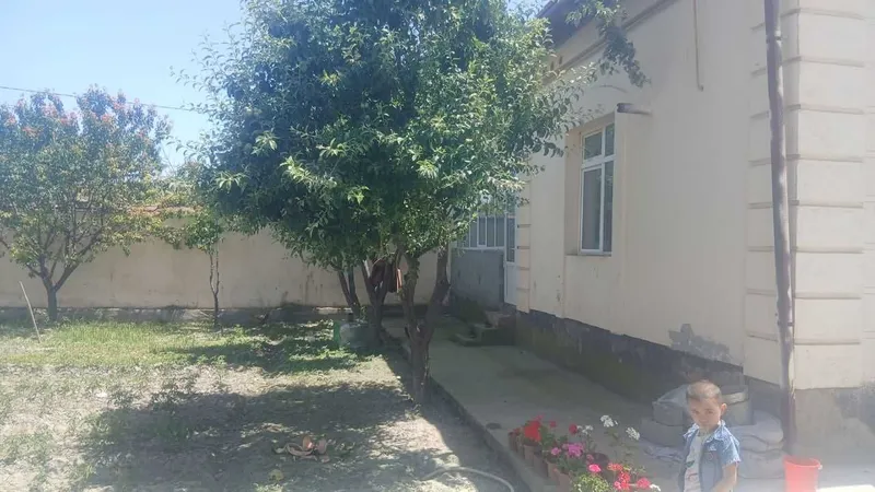 Imom buxoriyga borishda katta yo‘lni yoqasida 3 Imom buxoriyga borishda katta yo‘lni yoqasida 3