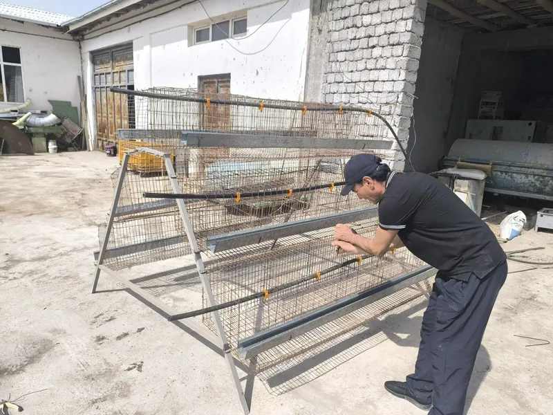 Tovuqxona sotiladi xitoy 20.000 komplek komplekti 650.000 ming so'mt 4 Tovuqxona sotiladi xitoy 20.000 komplek komplekti 650.000 ming so'mt 4