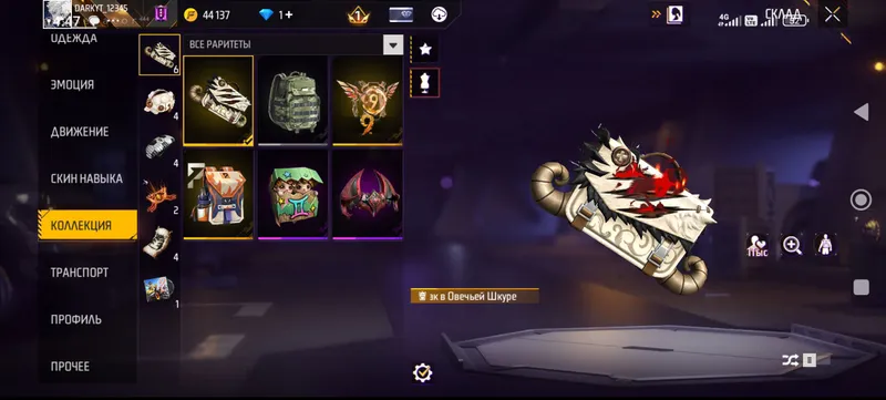 Akkaunt 6