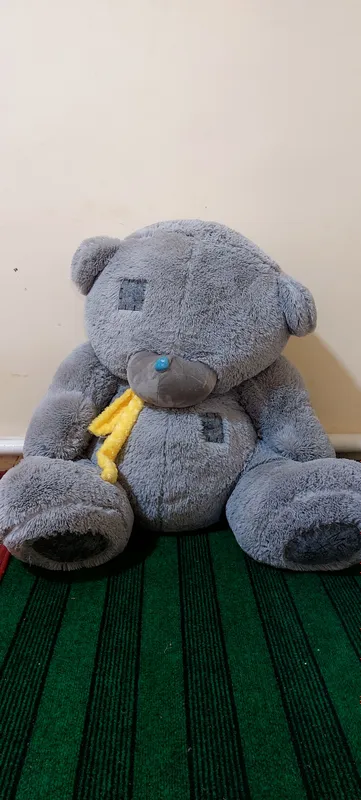 Teddy ayigʻi sotiladi