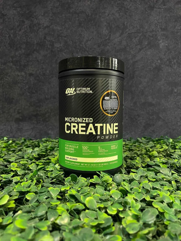 Optimum Nutrition Micronized Creatine 600gr