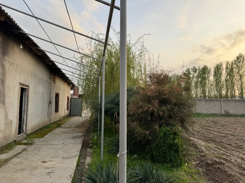 Yangiyolda 20 sotik ferma sotiladi hama sharoit bor — фото 5
