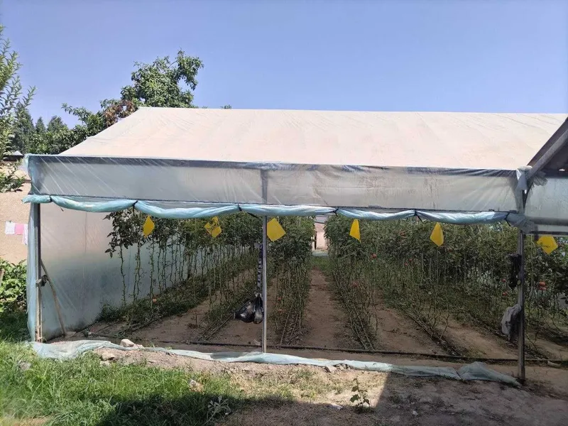Продам теплицу 2 сотки 10х20 полный сборочный на болтах не ржавеющий — фото 3