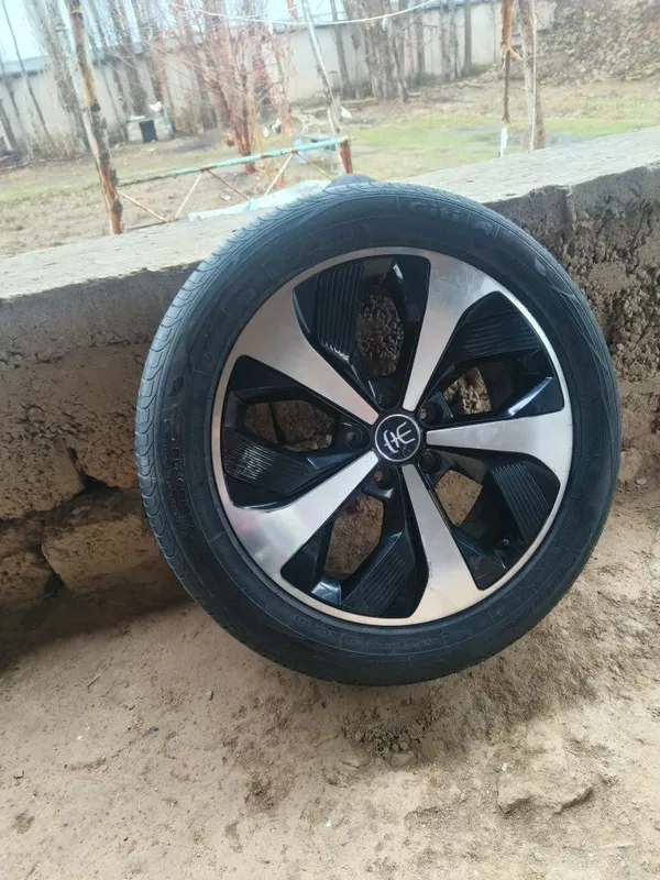 Byd song pulus diska baloni diska balon zapaska qliwga — фото 2