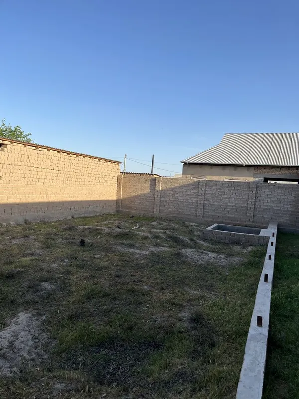 Yangi shoyxuja paxta tola tugrisidan kiriladi — фото 2