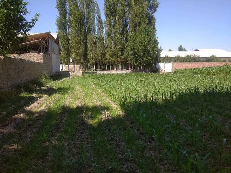Farg'ona tumani Avval shaharchasida chek sotiladi!!! — фото 4