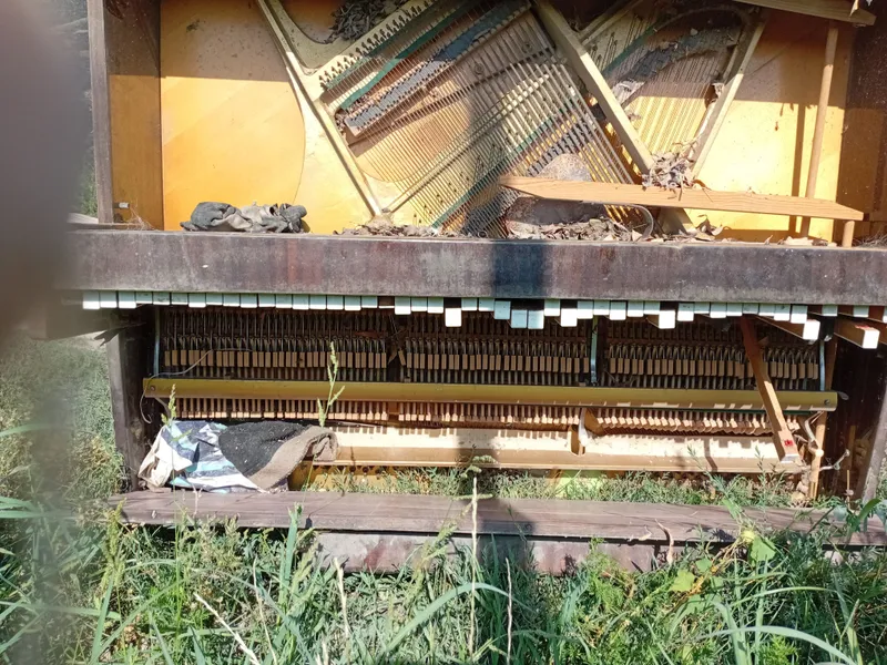 pianina sotiladi teskari koyilga 1 pianina sotiladi teskari koyilga 1