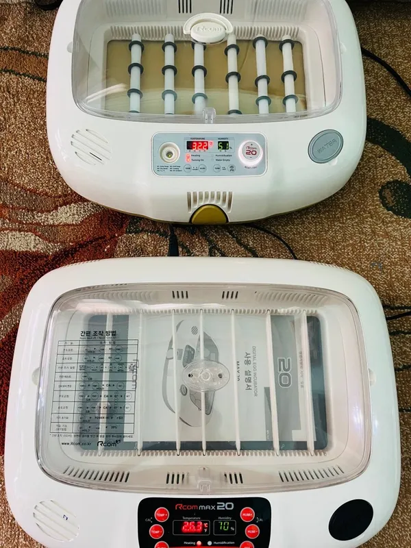 Incubator original 3