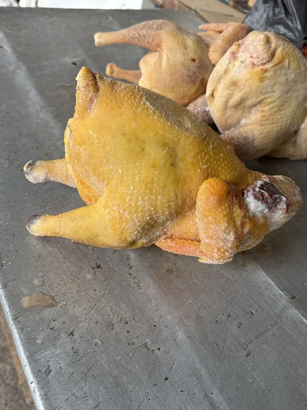 Uy parrandalari sotiladi 1 Uy parrandalari sotiladi 1