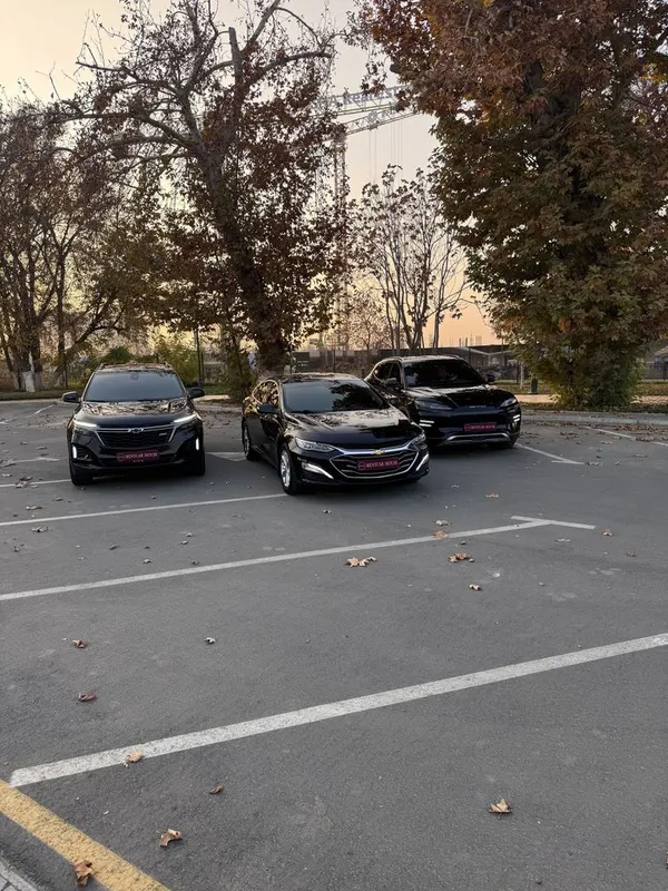 Malibu | Gentra | Byd | прокат | автопрокат | аренда авто | rent car — фото 1 Malibu | Gentra | Byd | прокат | автопрокат | аренда авто | rent car — фото 1