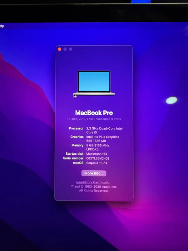 MacBook Pro + Windows