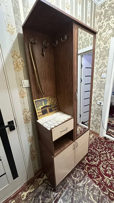 Kirish yo‘lagi uchun shkaf, ozoda va zamonaviy 1