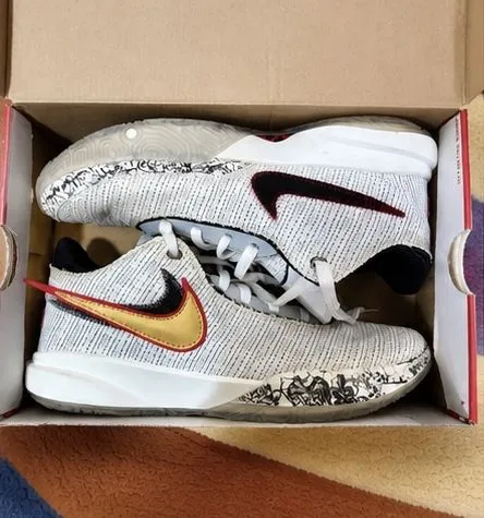 Баскетбольные кроссовки, Nike LeBron XX 1 Баскетбольные кроссовки, Nike LeBron XX 1