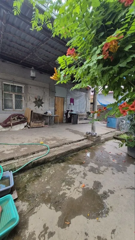 Яшнабадском районе — фото 1