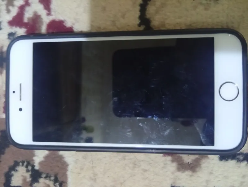 appl6