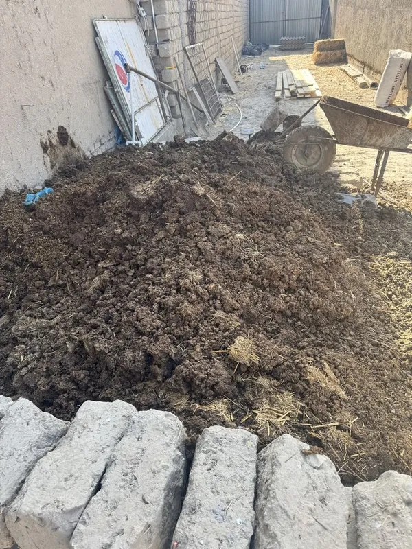 Mol porisi bir moshin ortib ortip olib ketasiz 1 Mol porisi bir moshin ortib ortip olib ketasiz 1