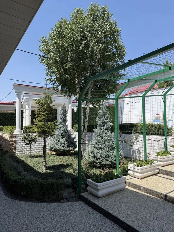 dacha oqtosh sotiladi 6 sotix kirib yashashga tayyor 6 dacha oqtosh sotiladi 6 sotix kirib yashashga tayyor 6
