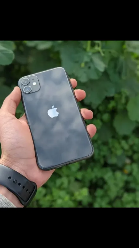 apple 11 5 apple 11 5