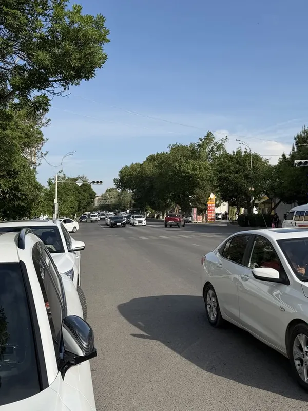 Сдается в оренда помешения под любой бизнес Богистон Мфй — фото 5 Сдается в оренда помешения под любой бизнес Богистон Мфй — фото 5