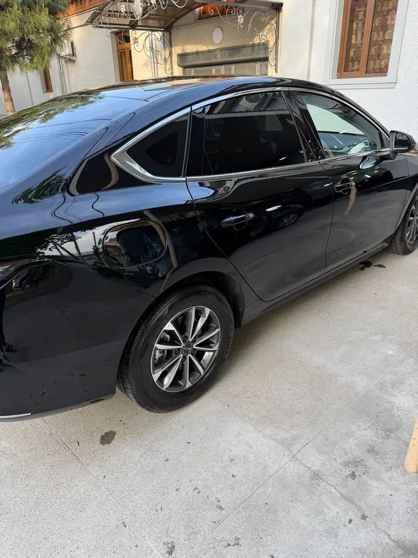 Byd chazor 55 DM 3 Byd chazor 55 DM 3
