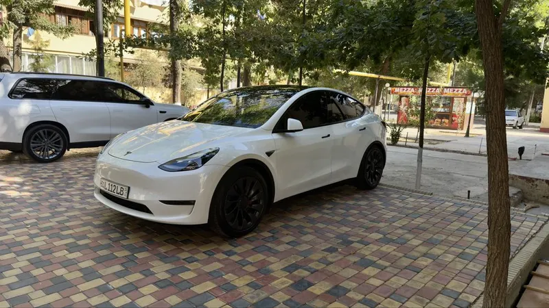 Tesla Model Y Perfomance 2024 2 Tesla Model Y Perfomance 2024 2