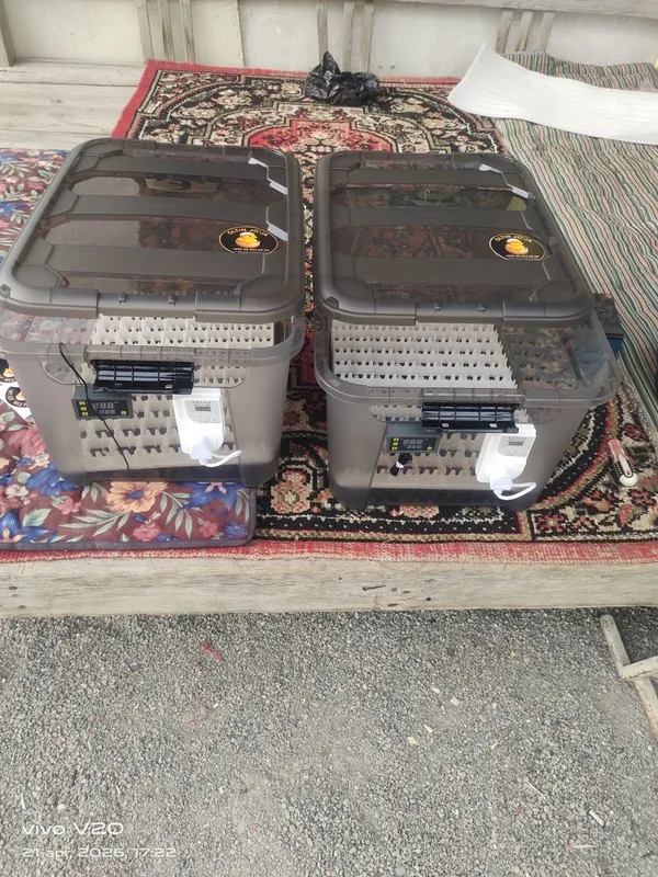 Inkubator 88 talik 12v va 220 da ishlaydi toʻliq avtomat — фото 1