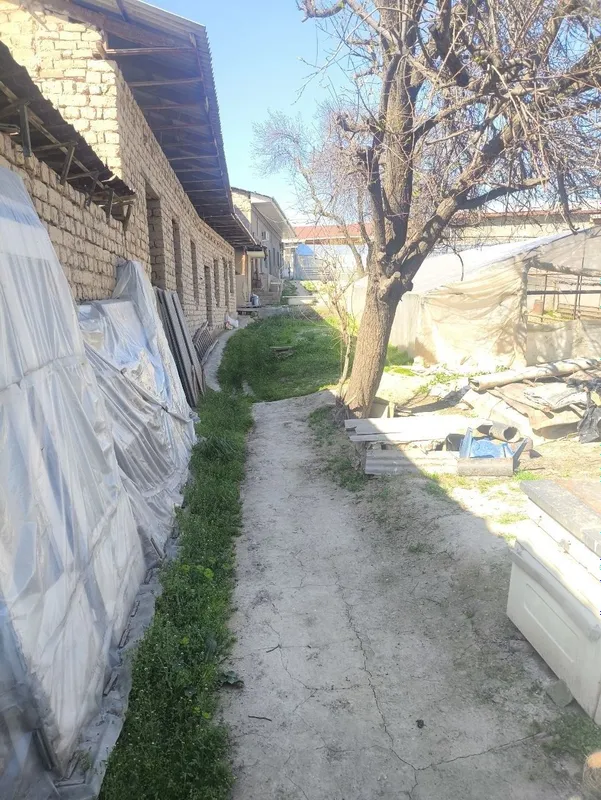 Hasanboy da 10 so'tik hovli sotiladi — фото 2