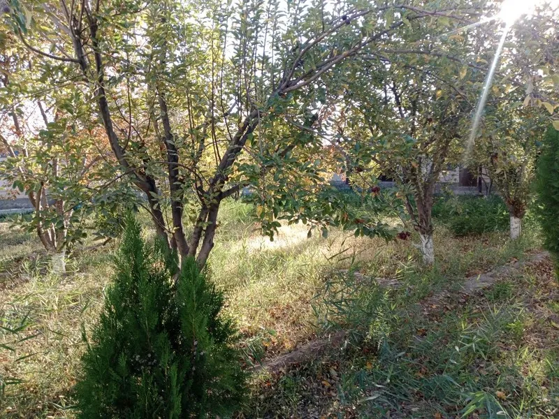 Уй сатылады срочно — фото 5