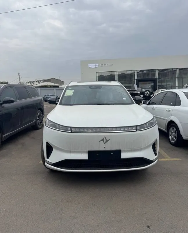 Dongfeng EP 008 Max 1 Dongfeng EP 008 Max 1