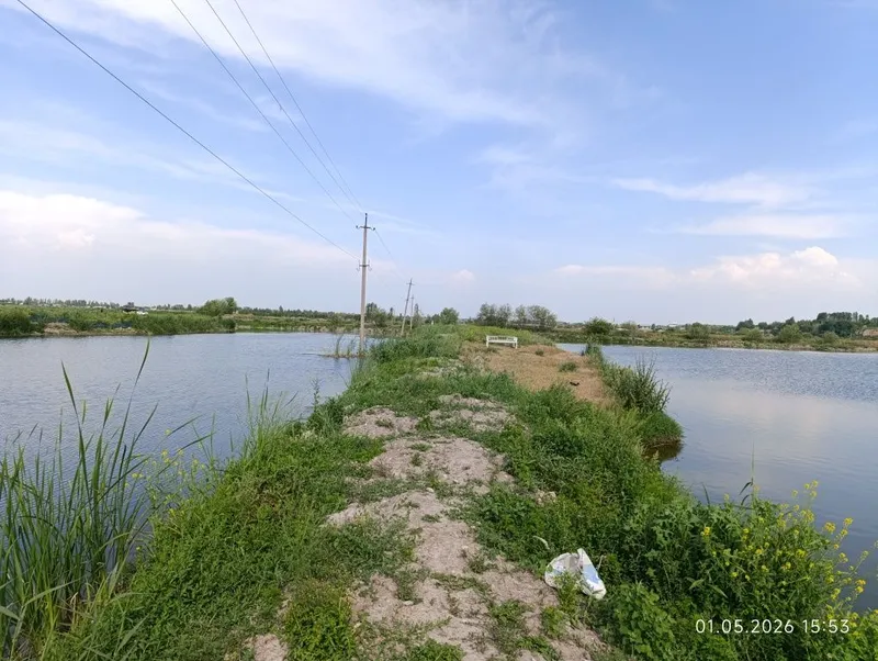 Ташморе готовый бизнес на 4 гектарах у реки — фото 3