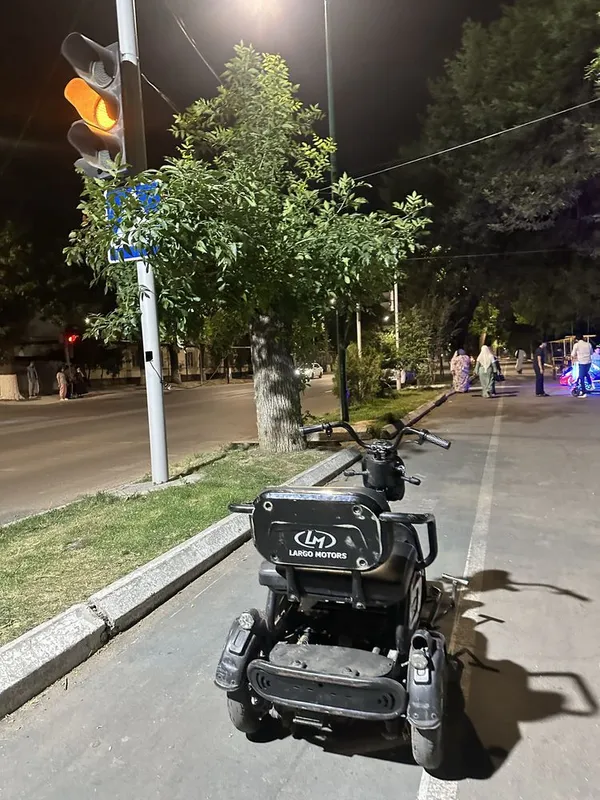 3 g‘ildirakli elektr transport vositasi — фото 2