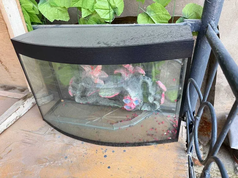 Akvarium Sotaman 30Litrli Tegi Dars Ketkan Remont Qisayam Bo'ladi