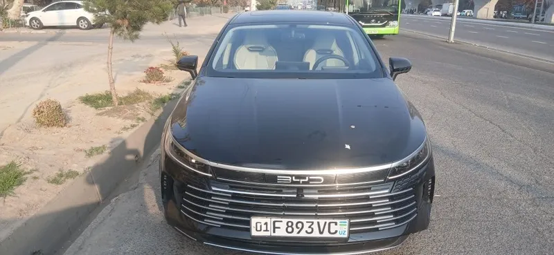 BYD чазор сухой аренда BYD чазор сухой аренда