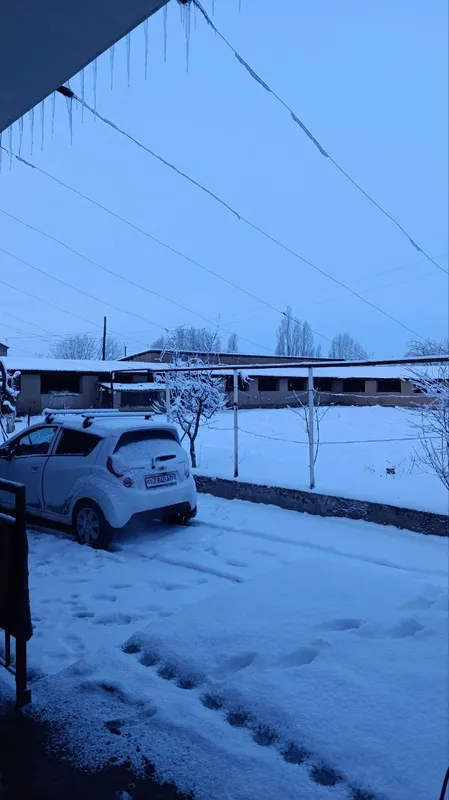 Земельный участок — фото 1