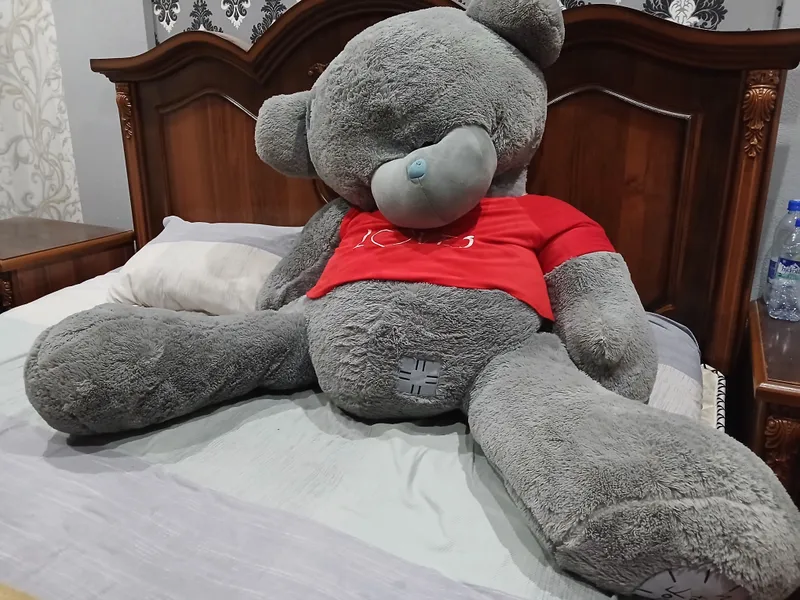 Teddy seriy ayiqcha — фото 1