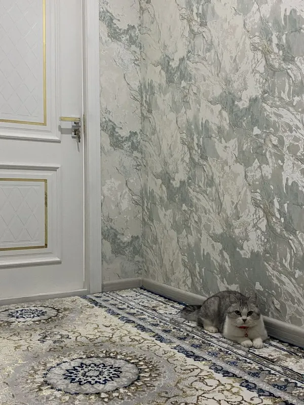 мушук сотилади срочно 4