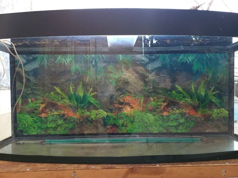 Akvarium sotiladi yaxshi ishliydi 7
