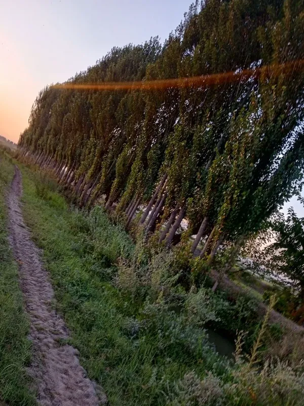 Teraklar kafolati bilan 1 Teraklar kafolati bilan 1