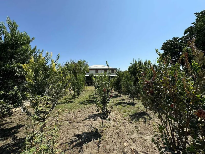 Tayyor 12 sotiqli hovli sotiladi.#a225 — фото 7