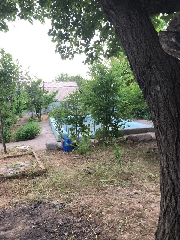 Продам землю Паркент дач.пос.Нилюфар — фото 5