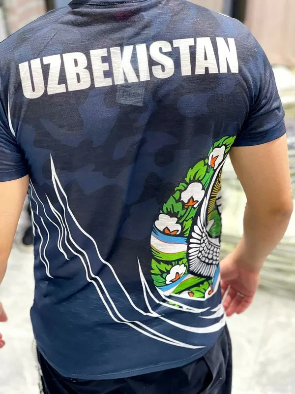 Мужские футболки 2 Мужские футболки 2