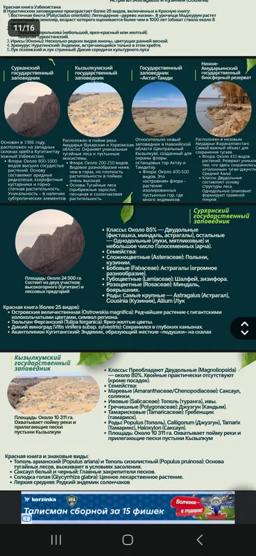 《Презентация》canva, PowerPoint word, pdf сделаю — фото 4 《Презентация》canva, PowerPoint word, pdf сделаю — фото 4