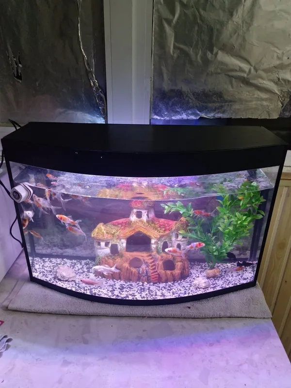 Avalniy Akvarium komplekt 60Litr — фото 1