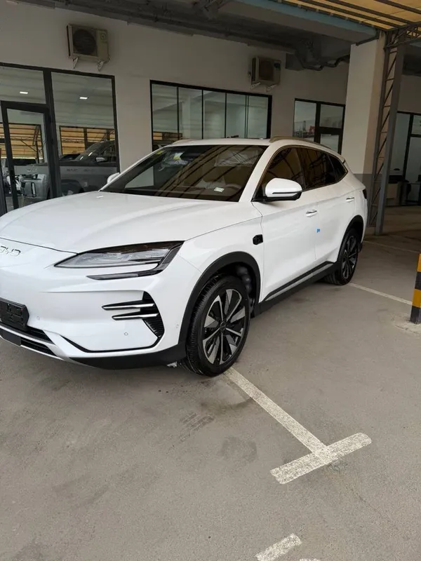 byd chempion smart — фото 1
