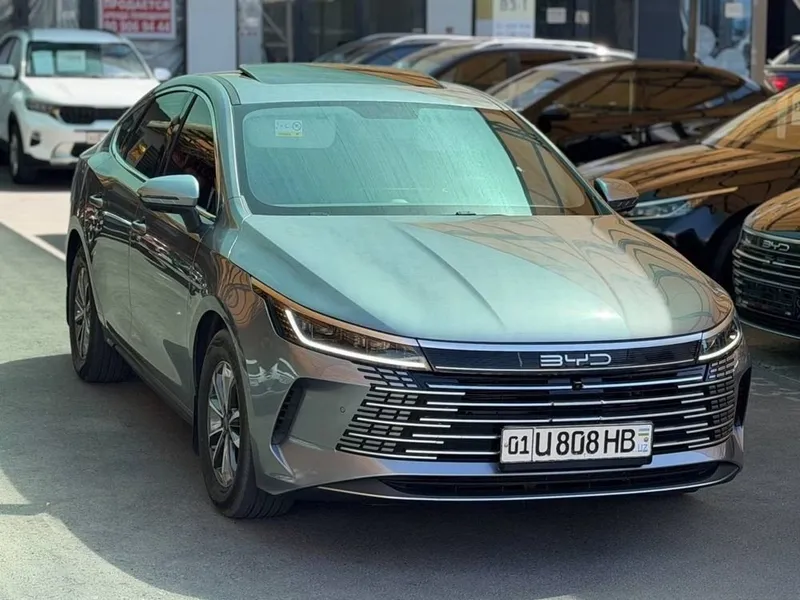 Byd Chazor 2026 2 lux pz 1 Byd Chazor 2026 2 lux pz 1