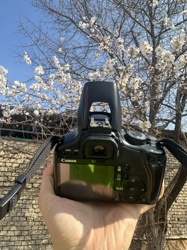Canon 450D sotiladi holati alo