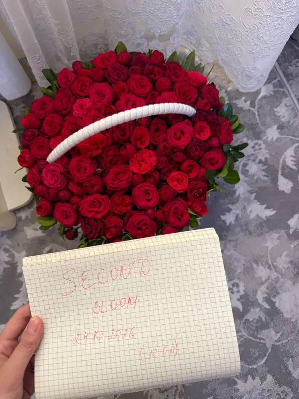 Sovgaga berlgan 2