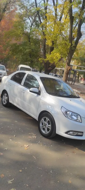 Nexia 3 eksport variant 4 Nexia 3 eksport variant 4